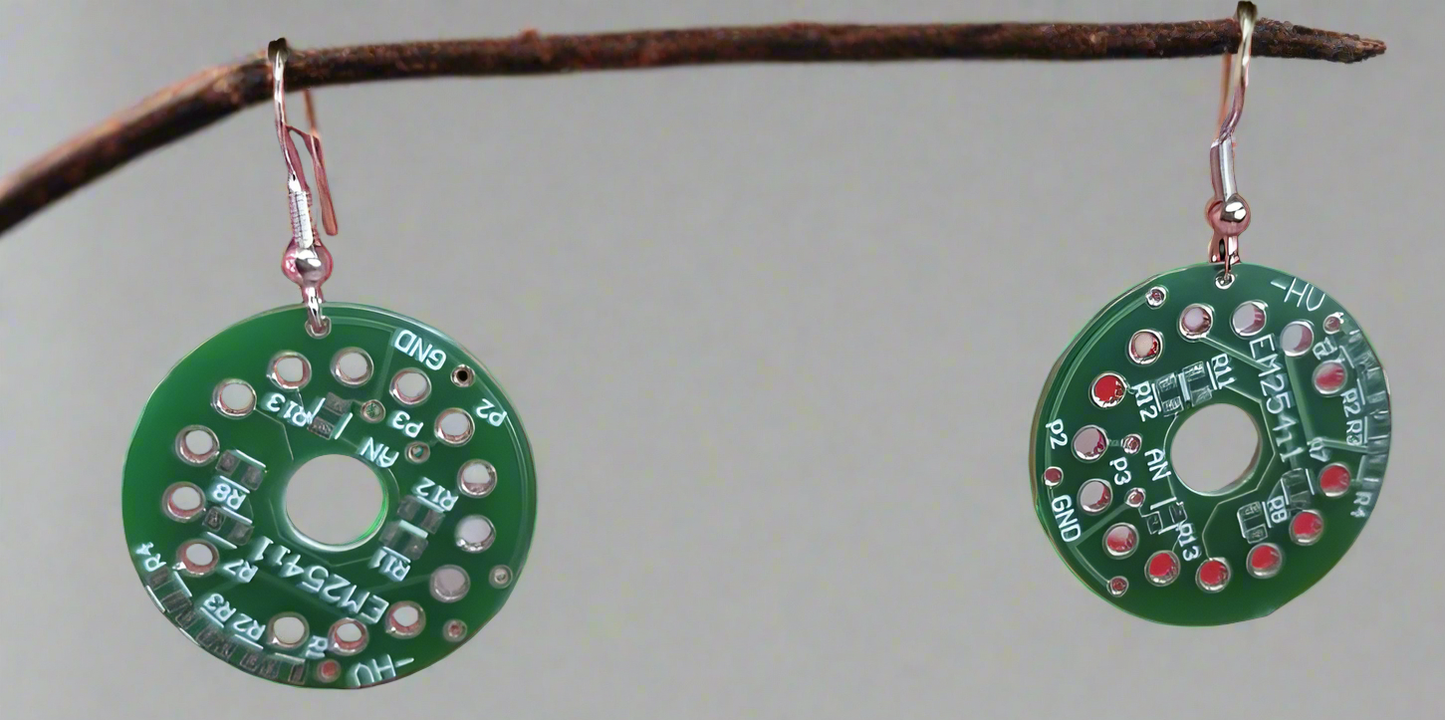 REAL CIRCUIT EARRINGS
