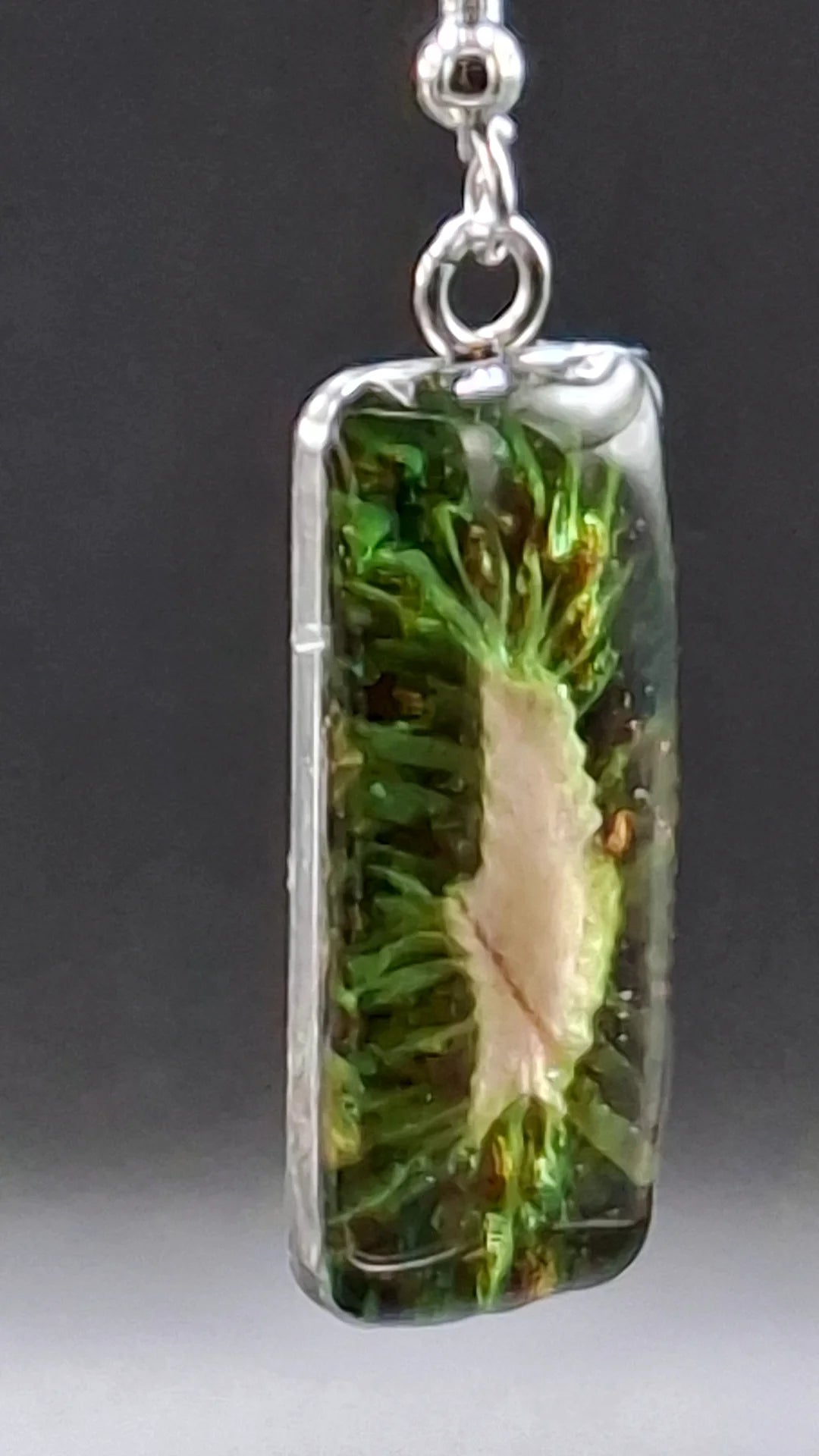 Real kiwi fruit earrings