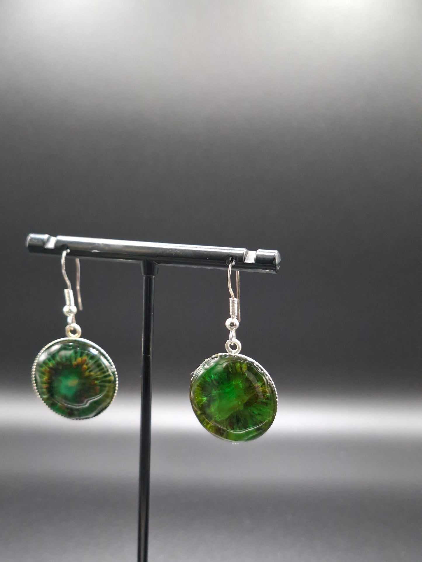 Real kiwi earrings in dome