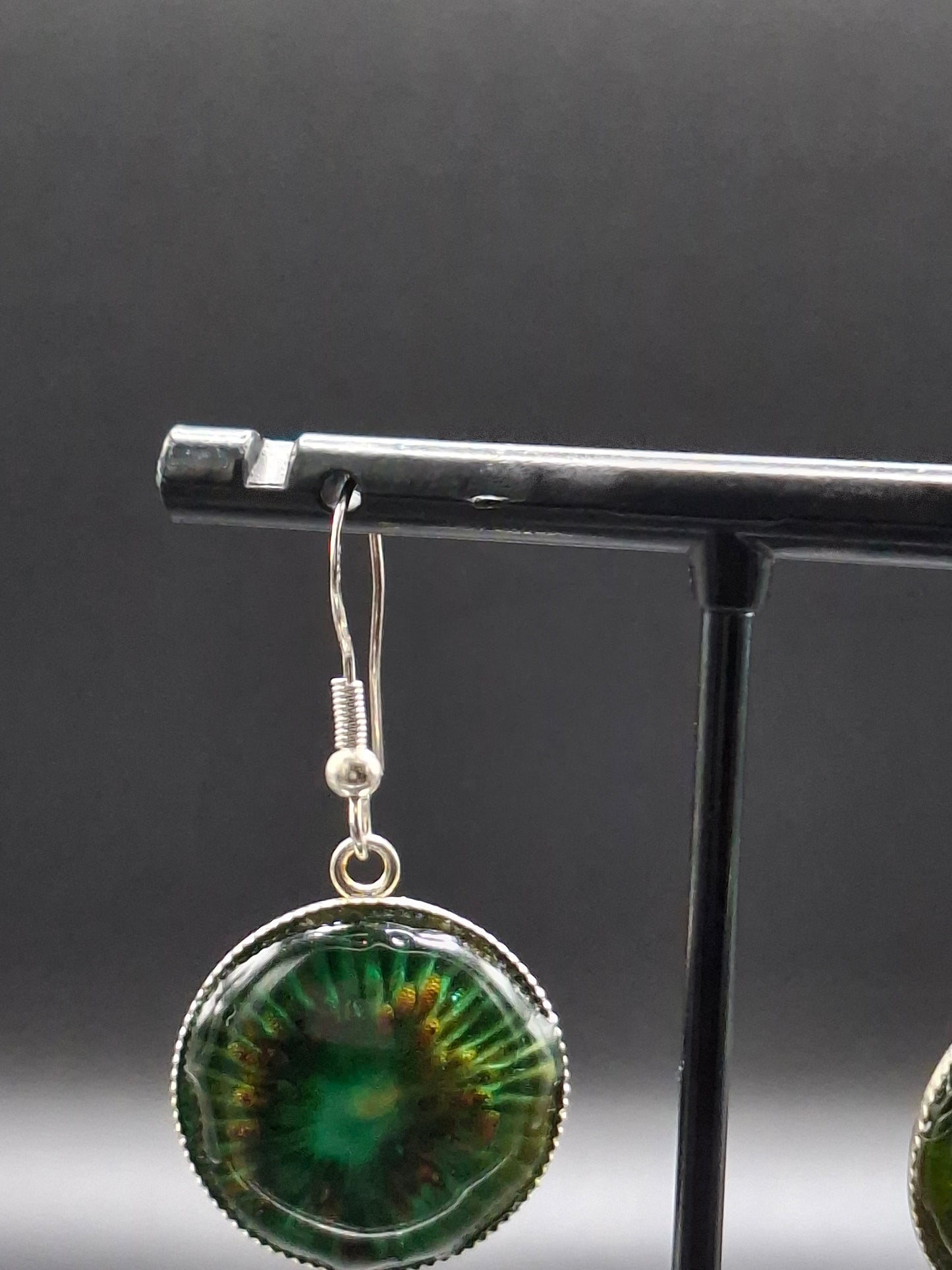 Real kiwi earrings in dome