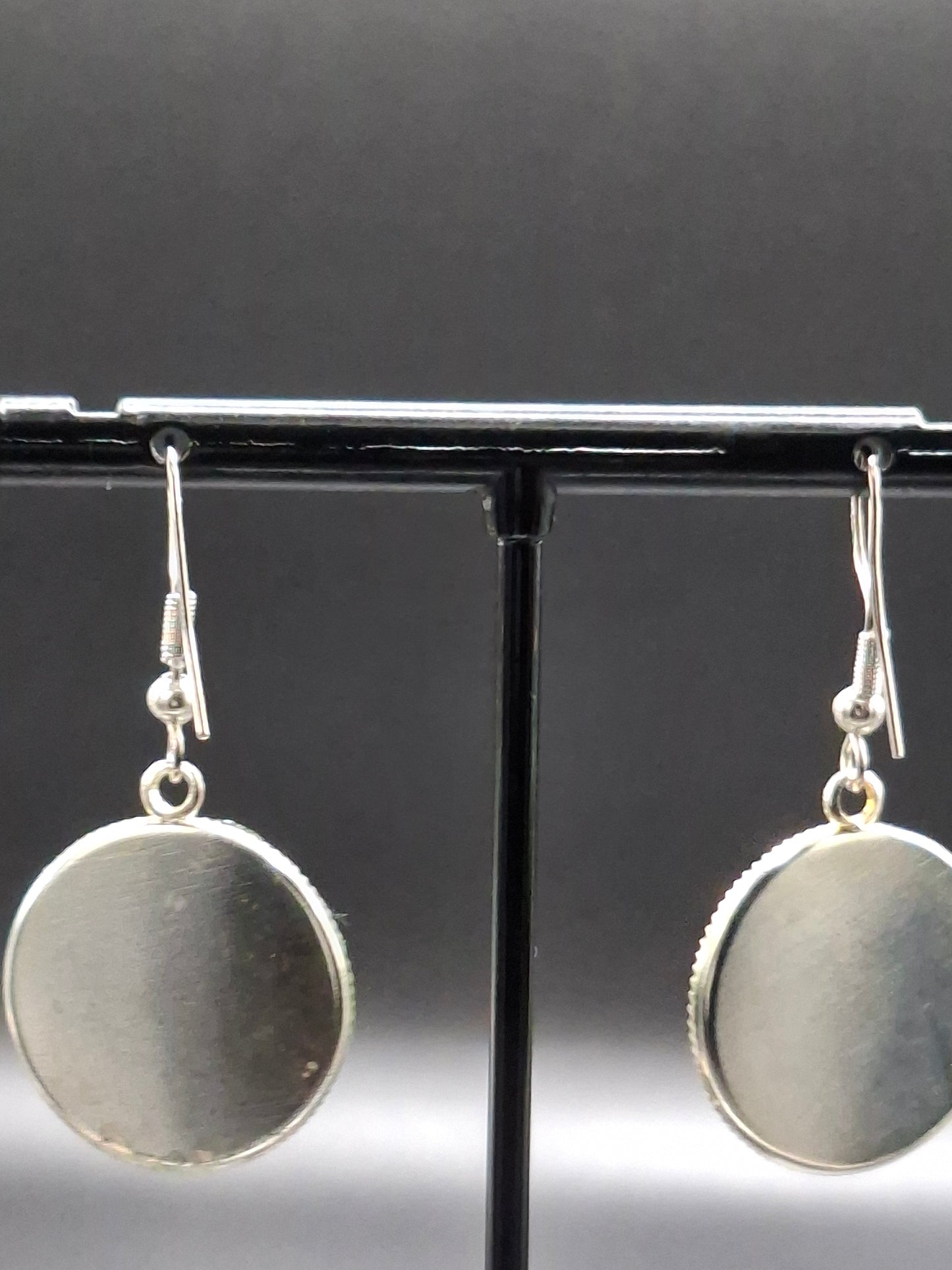Real kiwi earrings in dome