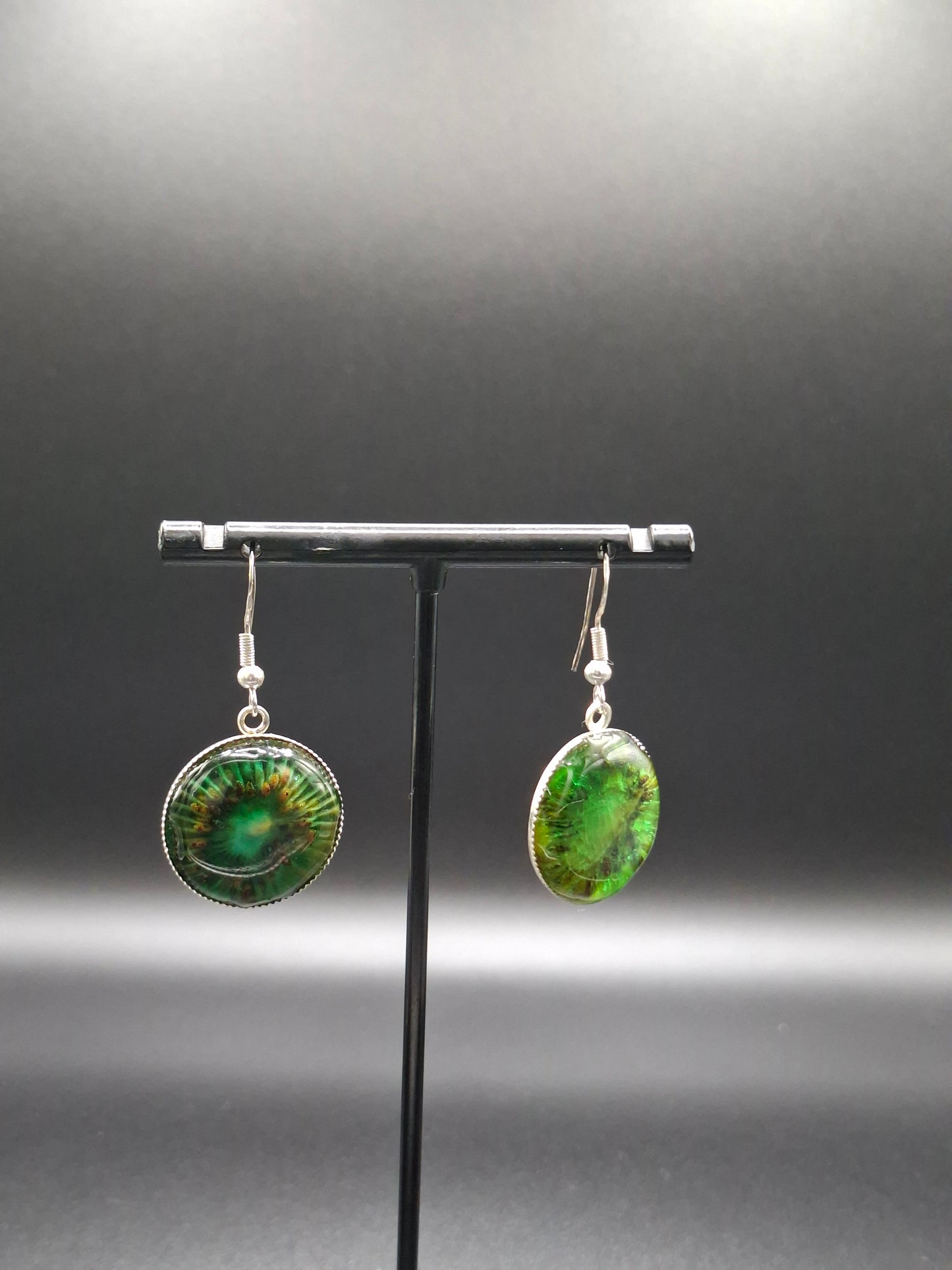 Real kiwi earrings in dome