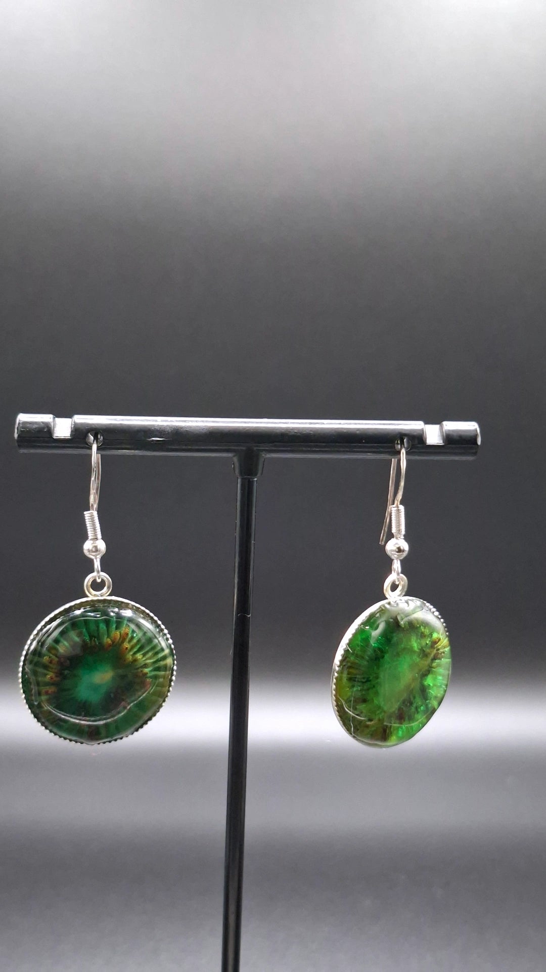Real kiwi earrings in dome