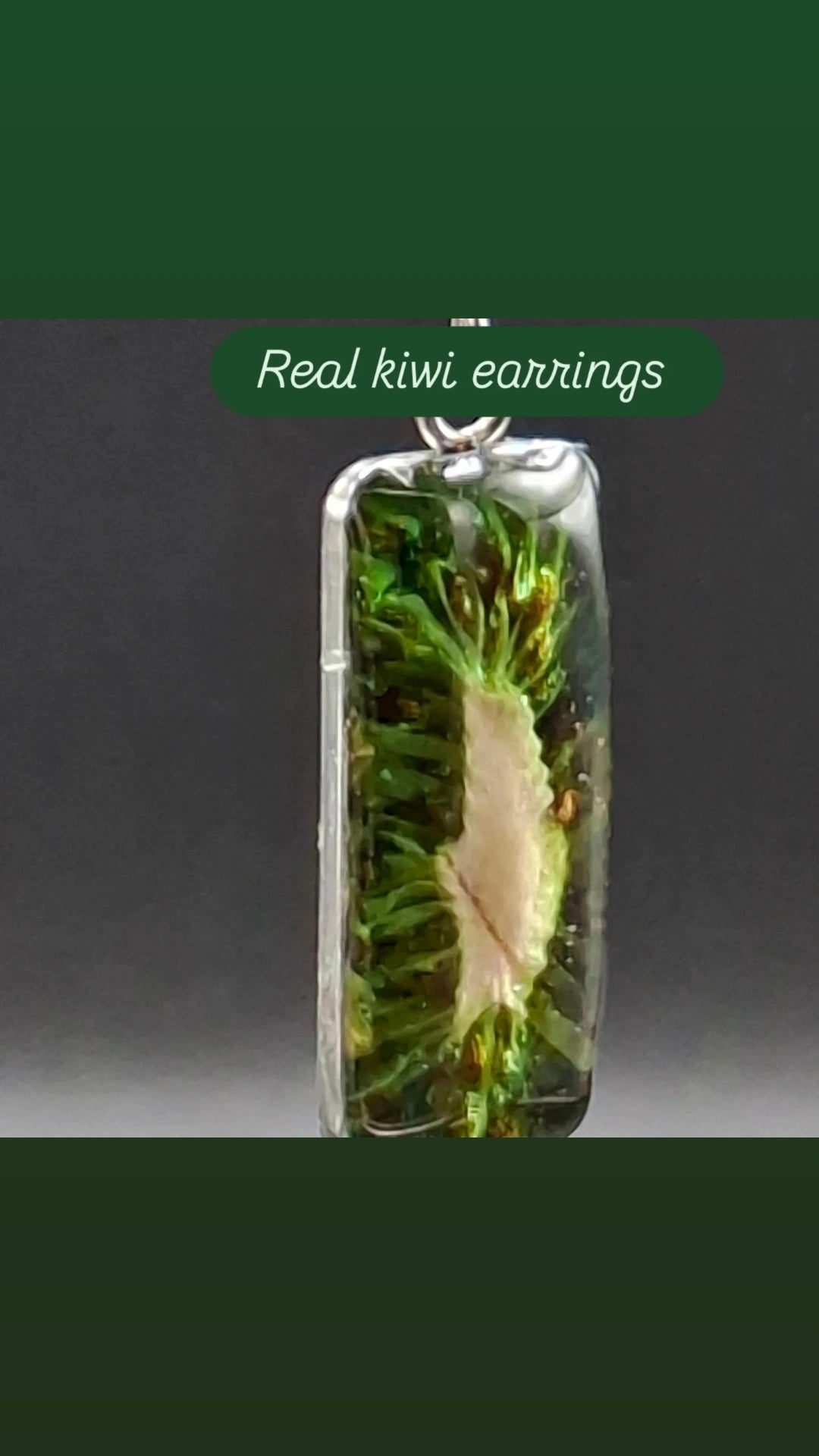 Real kiwi fruit earrings