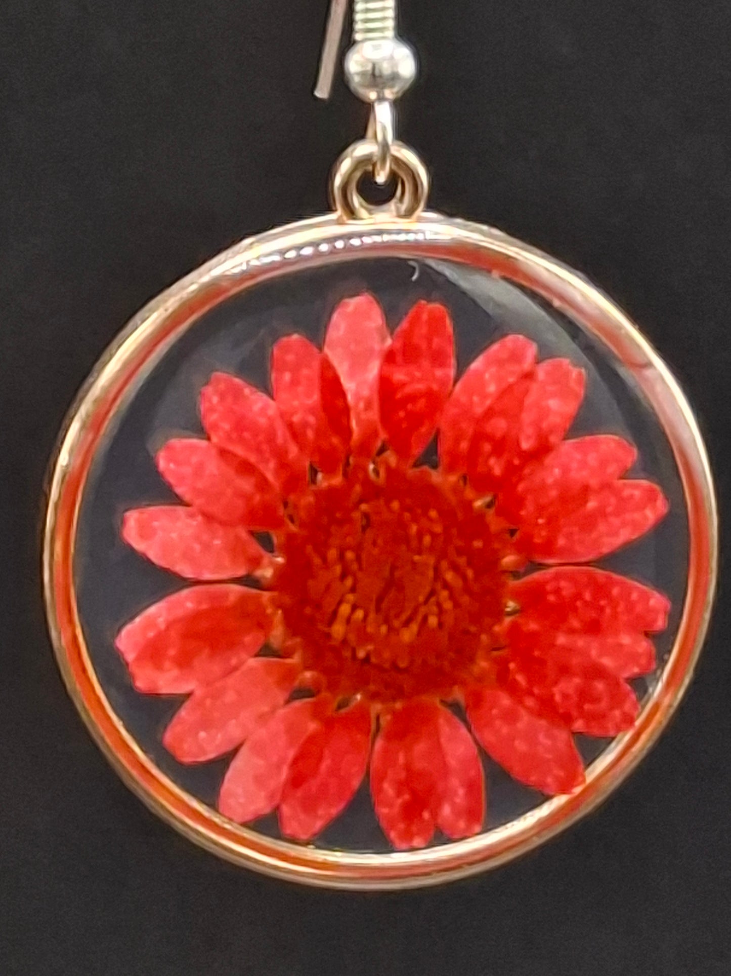 Real red flower Earrings