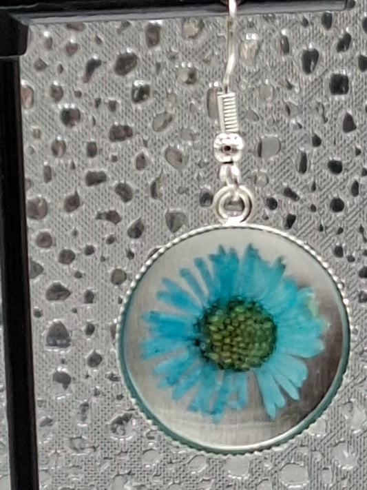 Real Flower Earrings Teal Colour