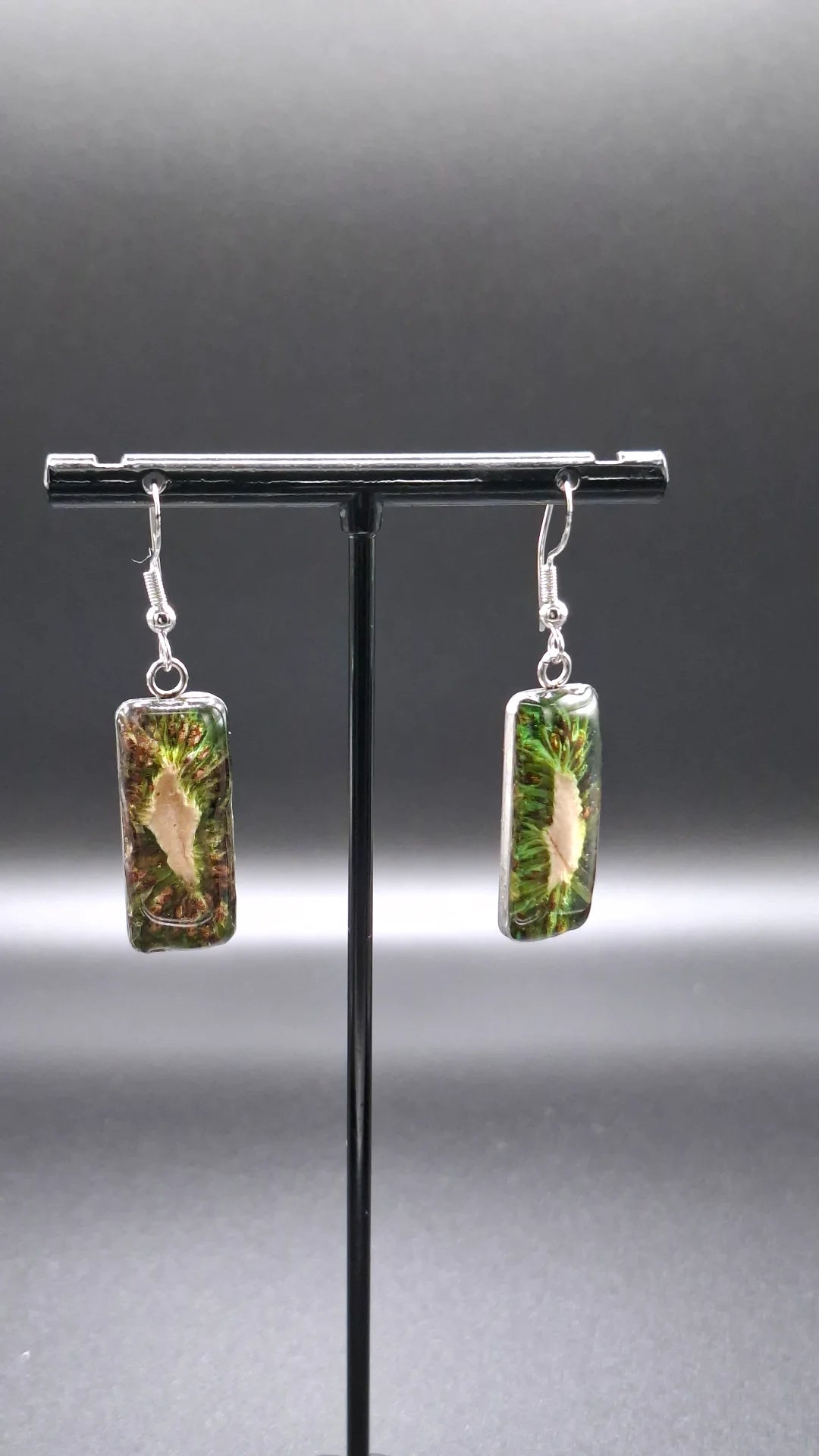 Real kiwi fruit earrings