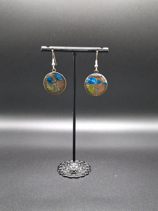 Real blue flower earrings
