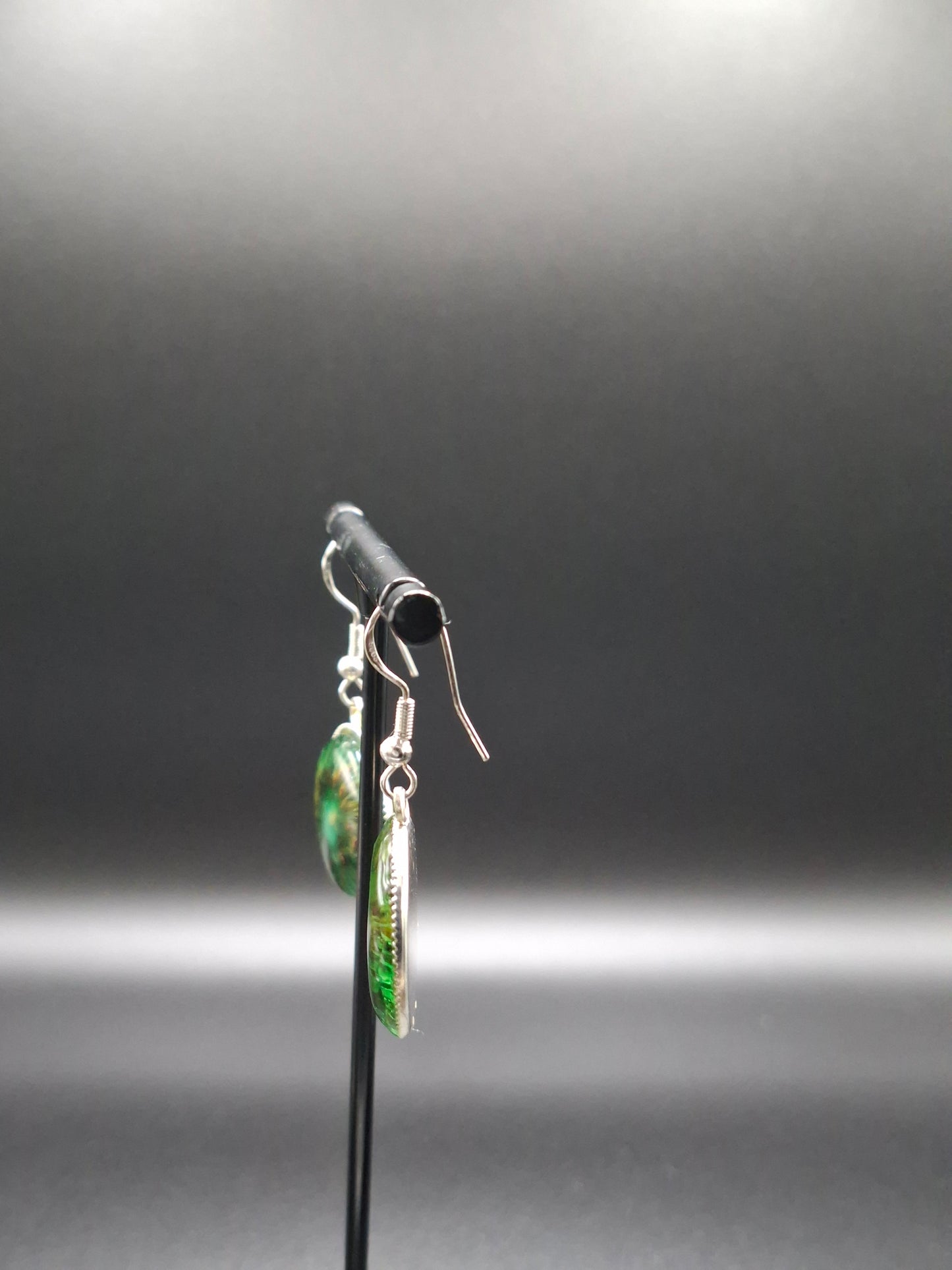 Real kiwi earrings in dome