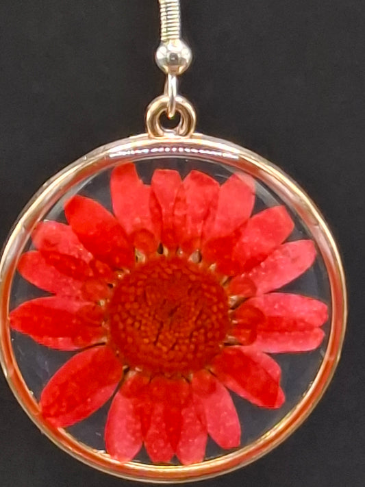 Real red flower Earrings