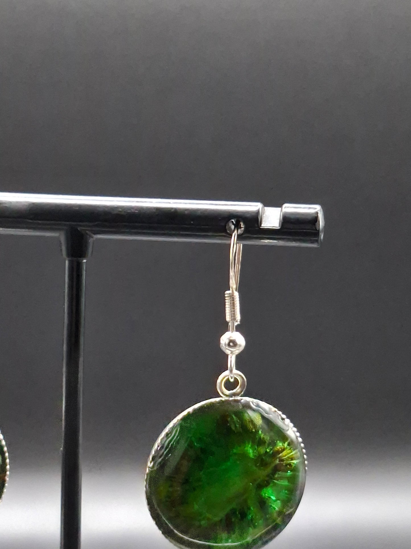 Real kiwi earrings in dome