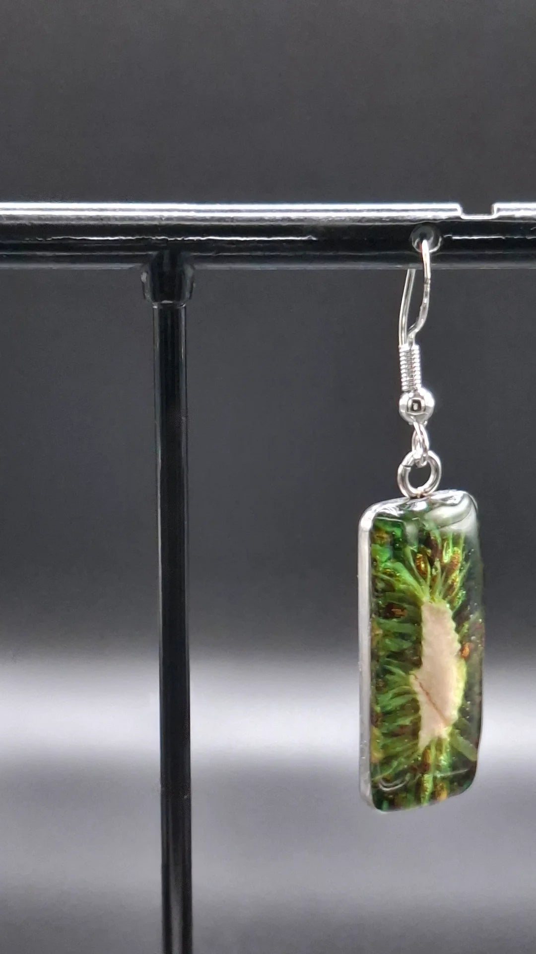 Real kiwi fruit earrings